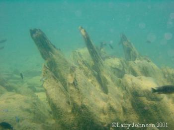 interestingl rock formations at Mara Point,Mozambique