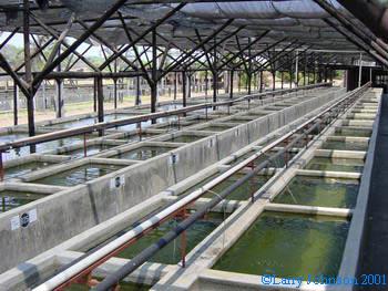 A few of the many vats