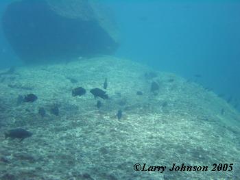 Underwater at Mphanga Rocks,,,Truck size rock on a house size boulder!