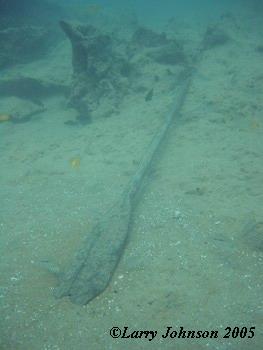 Pam Chin's fish room paddle