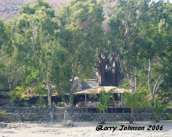 "Nick's Place" Chizumulu Island"