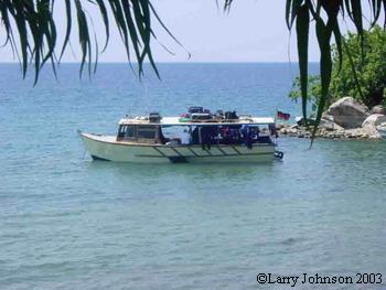 Metriclima fainzilberi