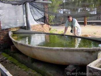 Richard ponders over vat