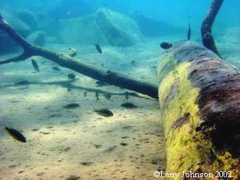 Sandy area near rocks